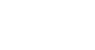 WordPress Website